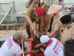 Bantuan Bibit Ikan Nila dari Pemkab Basel Tuai Berkah Bagi Pemdes Airbara