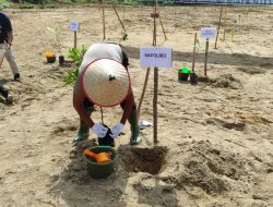 Tahura Menumbing Ditanami 4100 Pohon