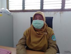 Tujuh Sapi di Bangka Masih Terinfeksi PMK