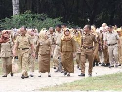 Honorer Dihapus, BKPSDMD Bangka Tunggu Arahan Pemprov Babel