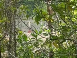 Suara TI Rajuk Bergemuruh di Kolong Belakang Kantor Bakuda Basel, Hasbi: Mungkin ada Orang Dalam