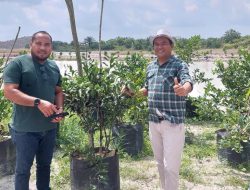 Anggota DPRD Bateng Belajar Manfaatkan Lahan eks Tambang ke Parittiga