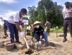 PT Timah Tbk Rehabilitasi Lahan Pasca Tambang di Hutan Tahura Bukit Menumbing