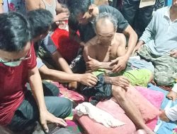 Pria Paruh Baya Diterkam Buaya Muara