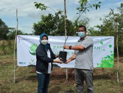 Jasa Raharja Babel Tanam 260 Pohon di Kebun Raya Tua Tunu