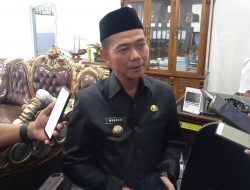 Mulkan Prediksi Harga Sawit Kembali Naik Pertengahan Juli