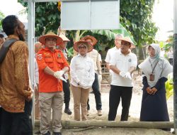 PT Timah Tbk Kolaborasi dengan Pemerintah dan Gapoktan Gerakan Ekonomi Masyarakat
