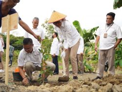 Wamen Kemendes PDTT Kunjungi Program Pemberdayaan Masyarakat Berbasis Agribisnis yang Dilakukan PT Timah Tbk