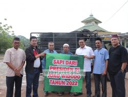 Sekda Babel Serahkan Sapi Kurban Bantuan Presiden