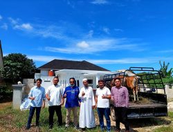 Sambut Hari Raya Idul Adha, Yayasan Selatan Peduli Kurban 2 Ekor Sapi