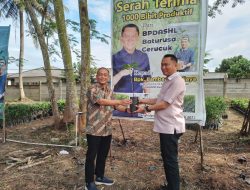 BPDASHL Rutin Bagikan 3.000 Bibit Tanaman Produktif Tiap Tahun