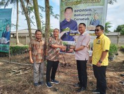 BPJ Terima 1.000 Bibit Tanaman Produktif dari BPDASHL