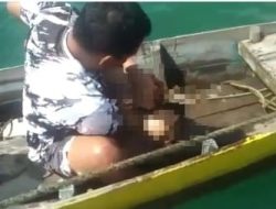 Dua Balita Ditemukan Mengapung di Perairan Tanjung Sangkar Lepong