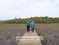Pesona Pulau Seliu yang Memikat Hati
