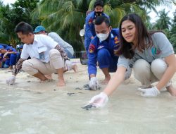 Selamatkan Penyu, PT Timah Tbk Ikut Pelepasliaran Ratusan Anak Penyu di Pulau Ketawai