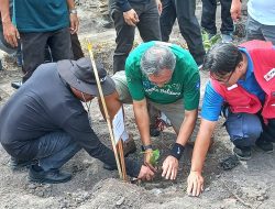 Gerakan Hijau Biru Babelku Tanam Ratusan Pohon di Kaki Menumbing