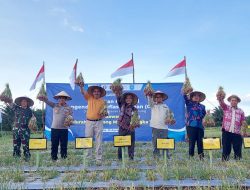 Panen Raya Bawang Merah di Bateng, Kepala BI: Tekan Angka Inflasi Pangan
