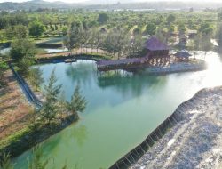 Realisasi Reklamasi Darat PT Timah Tbk Hingga Agustus 2022 Capai 69 Persen