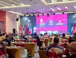 Pj Gubernur Beberkan Potensi Kerjasama Industri Penerbangan pada Peserta DMM G20