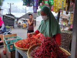 Harga Sejumlah Komoditas Pangan di Babel Mengalami Penurunan