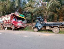 Adu Kambing dengan Truk , Sopir Pikap Meninggal Dunia