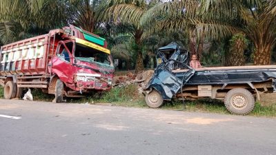 Adu Kambing dengan Truk , Sopir Pikap Meninggal Dunia