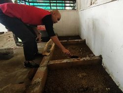 DLH Basel Fokus Budidaya Belatung atau Maggot