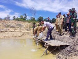PT Timah Tbk Dukung Gerakan Reboisasi Lahan Kritis dalam Rangka Peringatan HUT ke 77 TNI