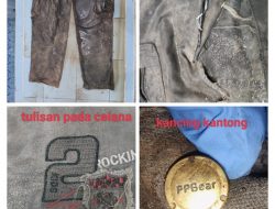 Berikut Ciri-ciri Tulang Belulang yang Ditemukan di Kawasan Bukit Muntai Toboali