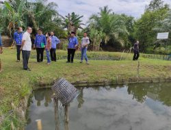 Kunjungi Pak Kastama untuk Bu Irta, Tim Juri KIPP Nikmati Ikan Air Tawar di Tepi Kolam