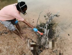 Warga Keposang Toboali Digegerkan Penemuan Mayat Tinggal Tulang Belulang