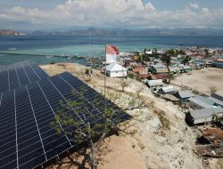 IEEFA Apresiasi Langkah Konkret PLN Wujudkan Transisi Energi di Indonesia