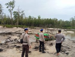 Lima Hektare Hutan Bakau Belo Laut Rusak Parah Akibat Tambang Ilegal