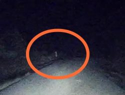 Kades Bangka Kota Curigai Penampakan Pocong Ulah Pelaku Begal