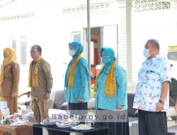 Ketua TP PKK Babel Tinjau Pelayanan KB Serentak di Bangka Tengah