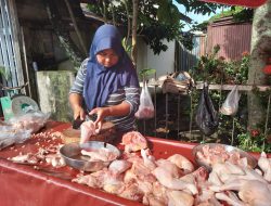 Harga Ayam Potong Naik Lima Ribu Per Kilogram, Omzet Pedagang Berkurang