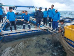 PT Timah Tbk Budidayakan Ikan dan Udang Vaname dengan Konsep KJA di Pulau Sukun Belitung Timur