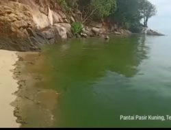 DKP Sudah Ambil Sampel Air Laut Pasir Kuning