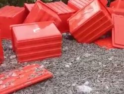Ratusan Kilo Udang Tutupi Jalan di Desa Air Belo