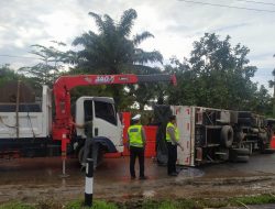 Diduga Hindari Mobil Avanza Akibatkan Truk Muatan Udang Vaname Terguling