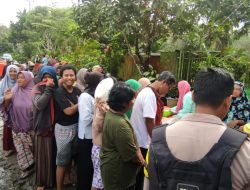 Warga Desa Air Belo Ketiban Rezeki Tiga Fiber Udang Vaname