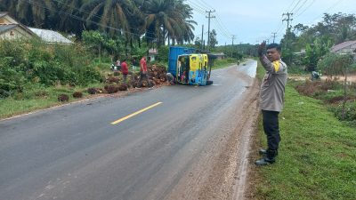 Truk Bermuatan 7 Ton Sawit Terguling Usai Hindari Emak-Emak Keluar Gang