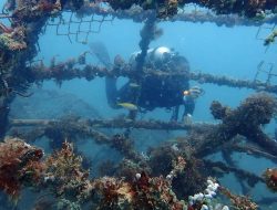 Menjaga Kelestarian Lingkungan Dengan Reklamasi yang Berkelanjutan