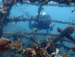 Menjaga Keseimbangan Ekosistem Laut dengan Reklamasi Laut
