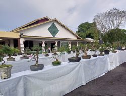 PT Timah Tbk Dukung Pameran Bonsai dan Aquascape di Bangka Barat