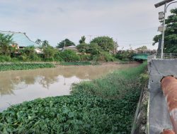 Rio Setiady Minta PU Gercep Tangani Aliran Sungai Kolong Pasar Ikan