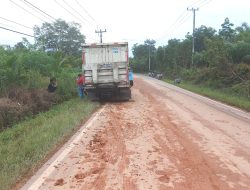 Tergelincir saat Bermotor, Dua IRT Tewas Terlindas Truk di Desa Mayang