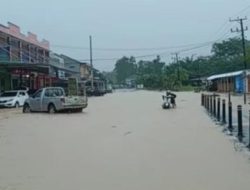 Wilayah Terendam Banjir, Camat Parittiga Ingatkan Warganya Waspada Buaya