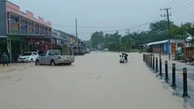 Wilayah Terendam Banjir, Camat Parittiga Ingatkan Warganya Waspada Buaya