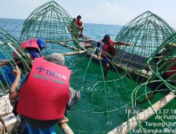 Tahun 2023, TINS Targetkan Tenggelamkan Ribuan Artificial Reef